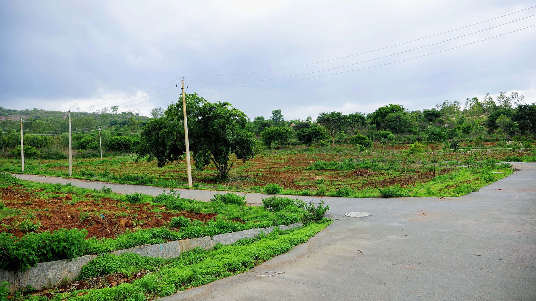 Vinayaka Housing